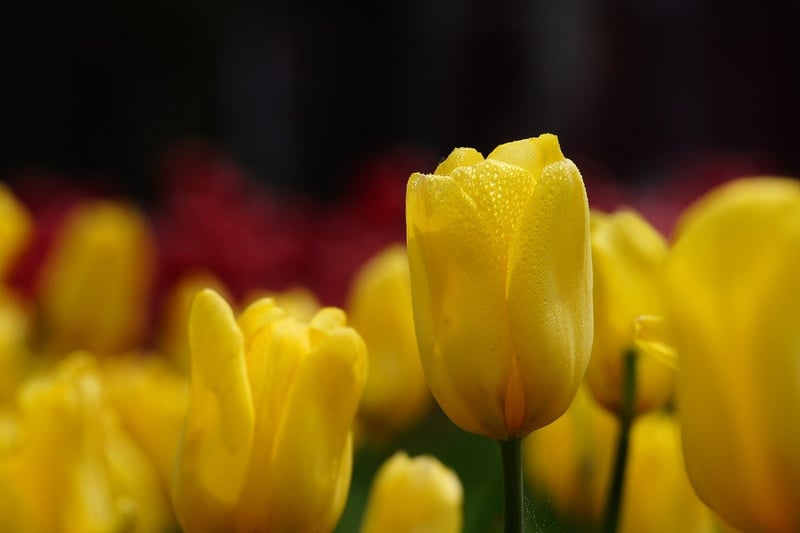 Nature's Blessings